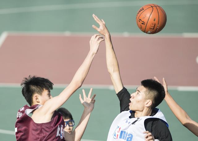 藤原瞳番号